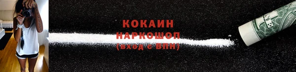 стафф Арсеньев