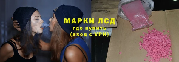 стафф Арсеньев